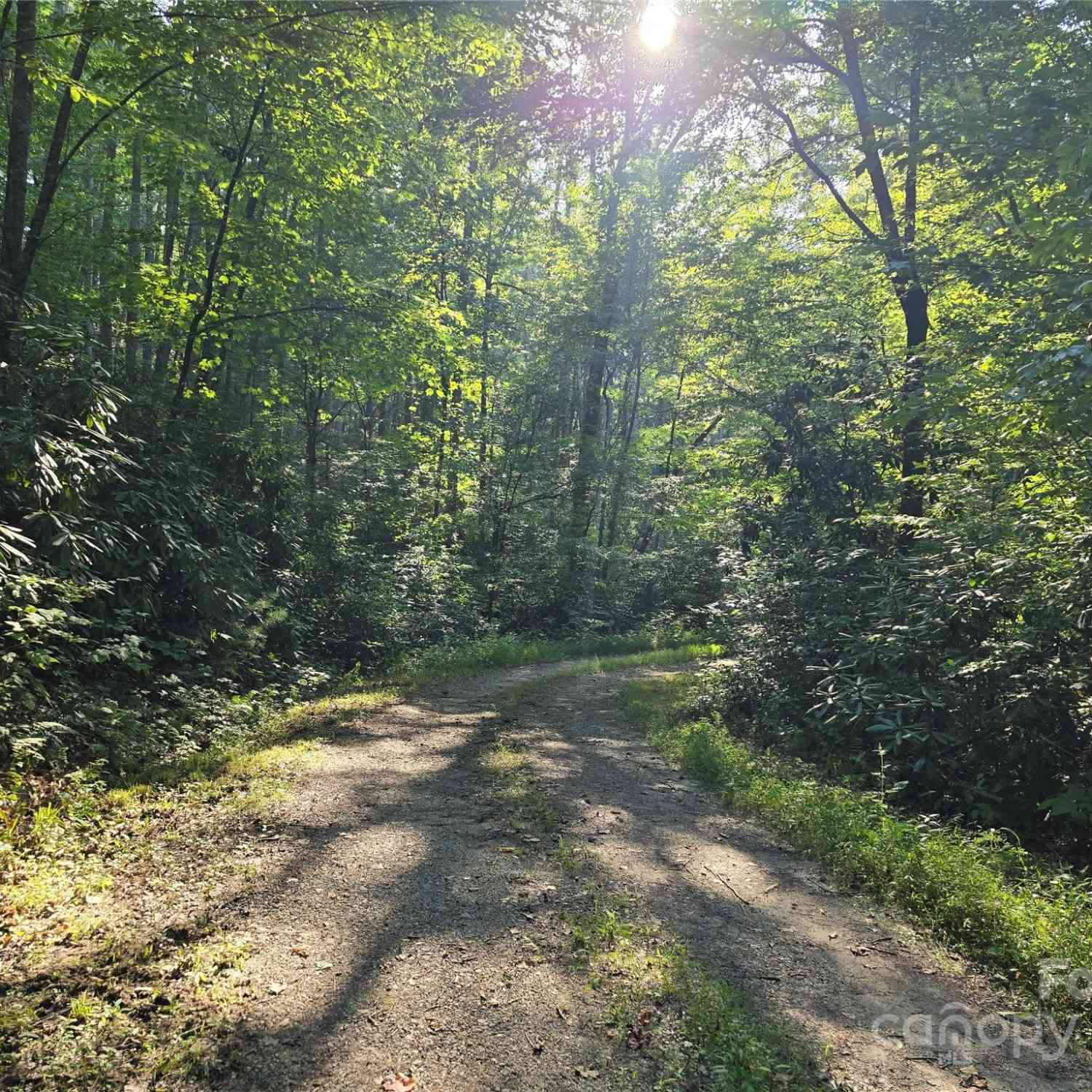 TBD Doe Branch Road, Marshall, North Carolina image 22