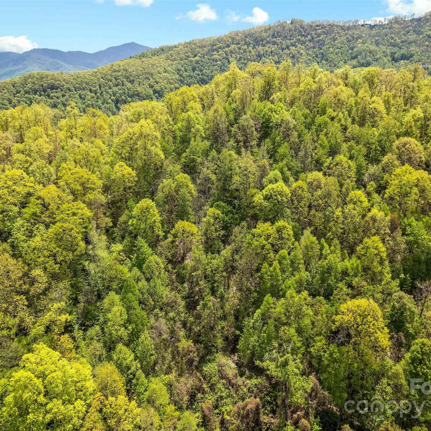 00 Locust Trail, Waynesville, North Carolina image 7