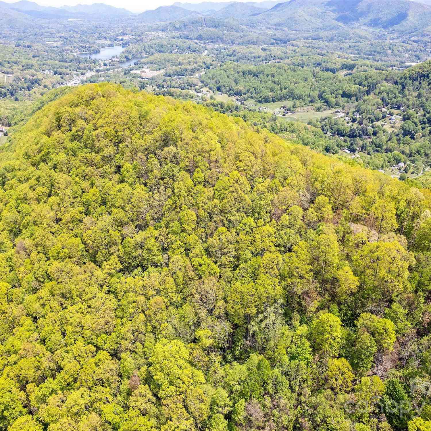 00 Locust Trail, Waynesville, North Carolina image 8