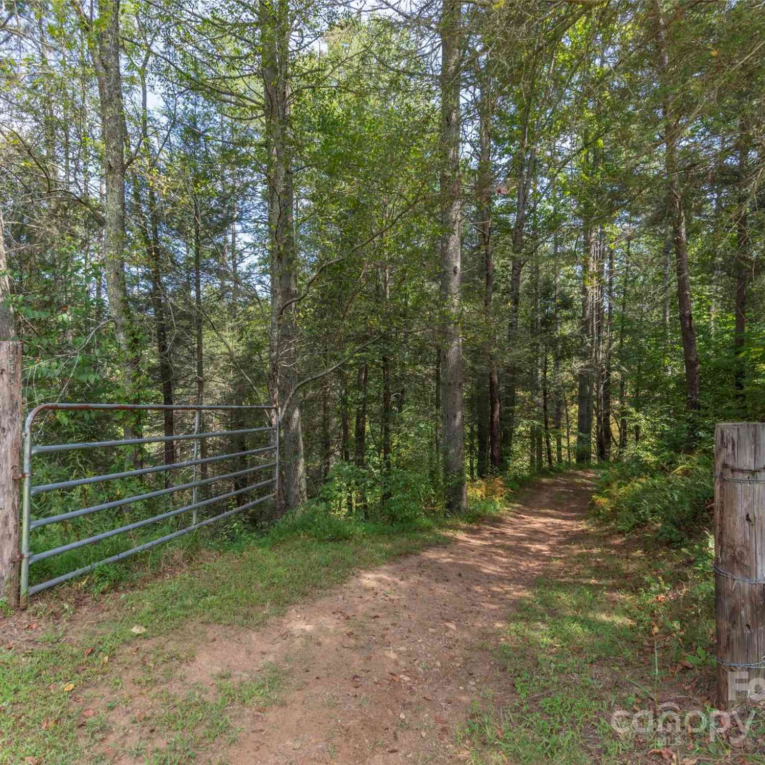 525 Silent Acres Road, Waynesville, North Carolina image 45