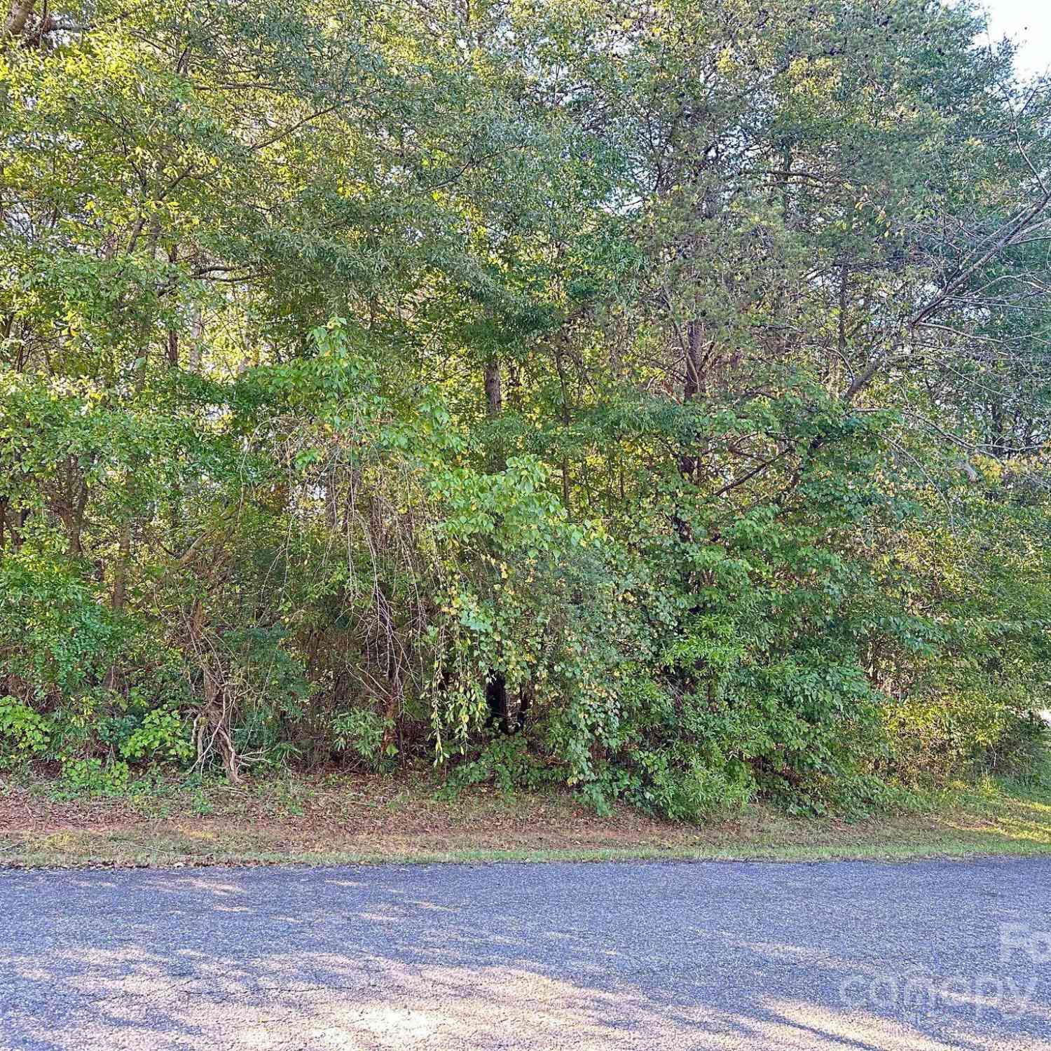 97 Meadowcreek Loop, Stony Point, North Carolina image 28