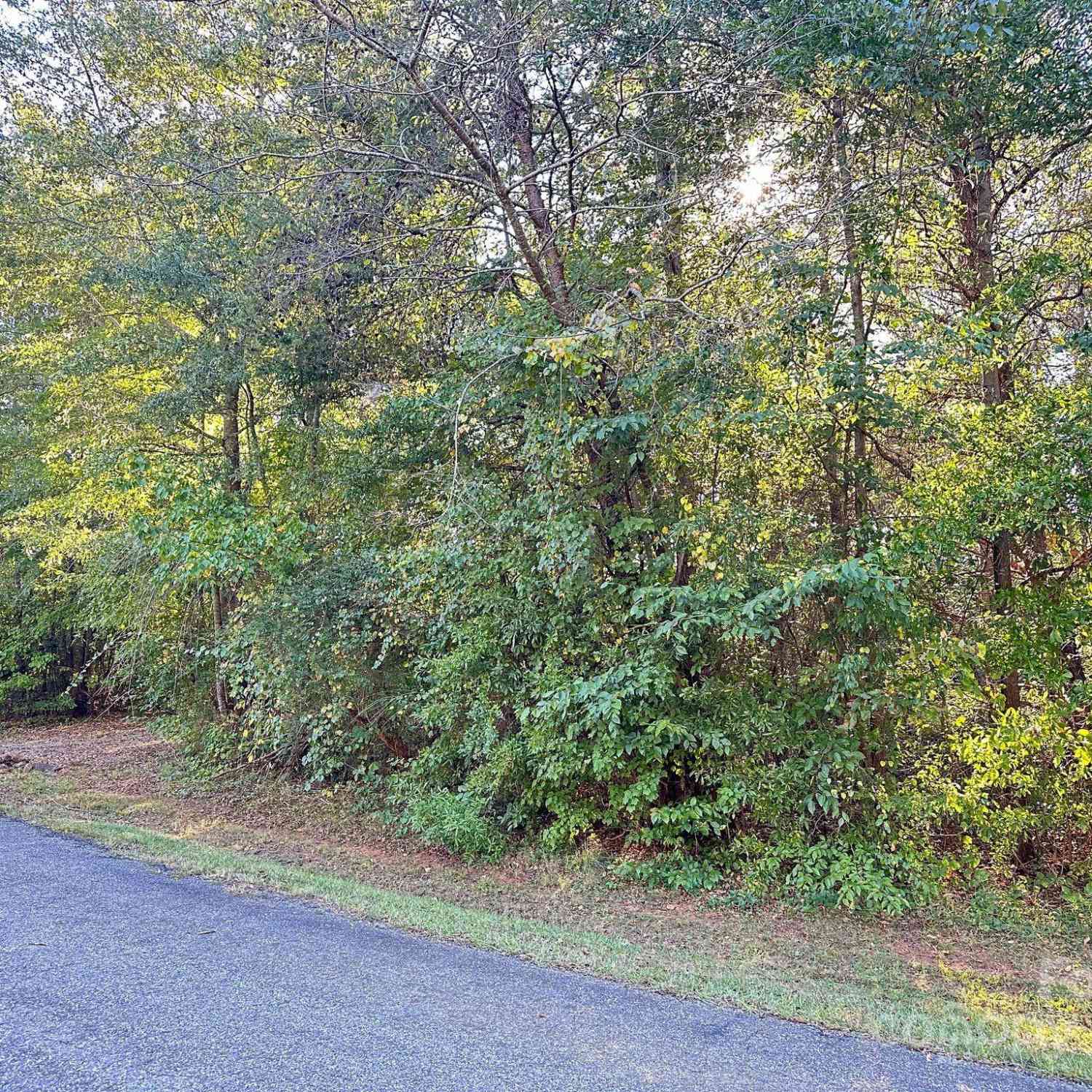 97 Meadowcreek Loop, Stony Point, North Carolina image 30