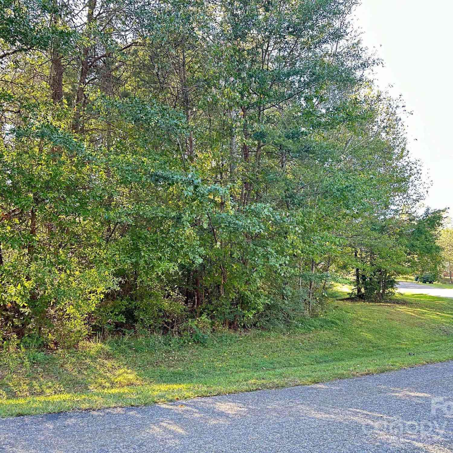 97 Meadowcreek Loop, Stony Point, North Carolina image 29