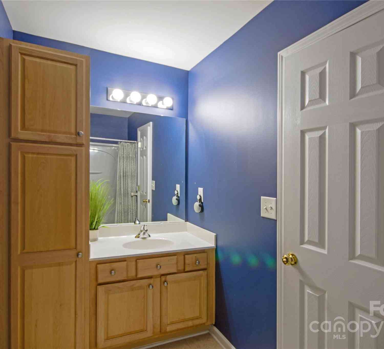 1017 Silver Springs Road, Fort Mill, South Carolina image 25