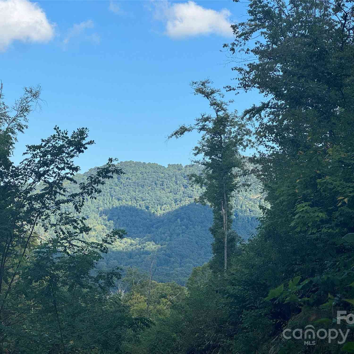 000 Settlers Lane, Waynesville, North Carolina image 9