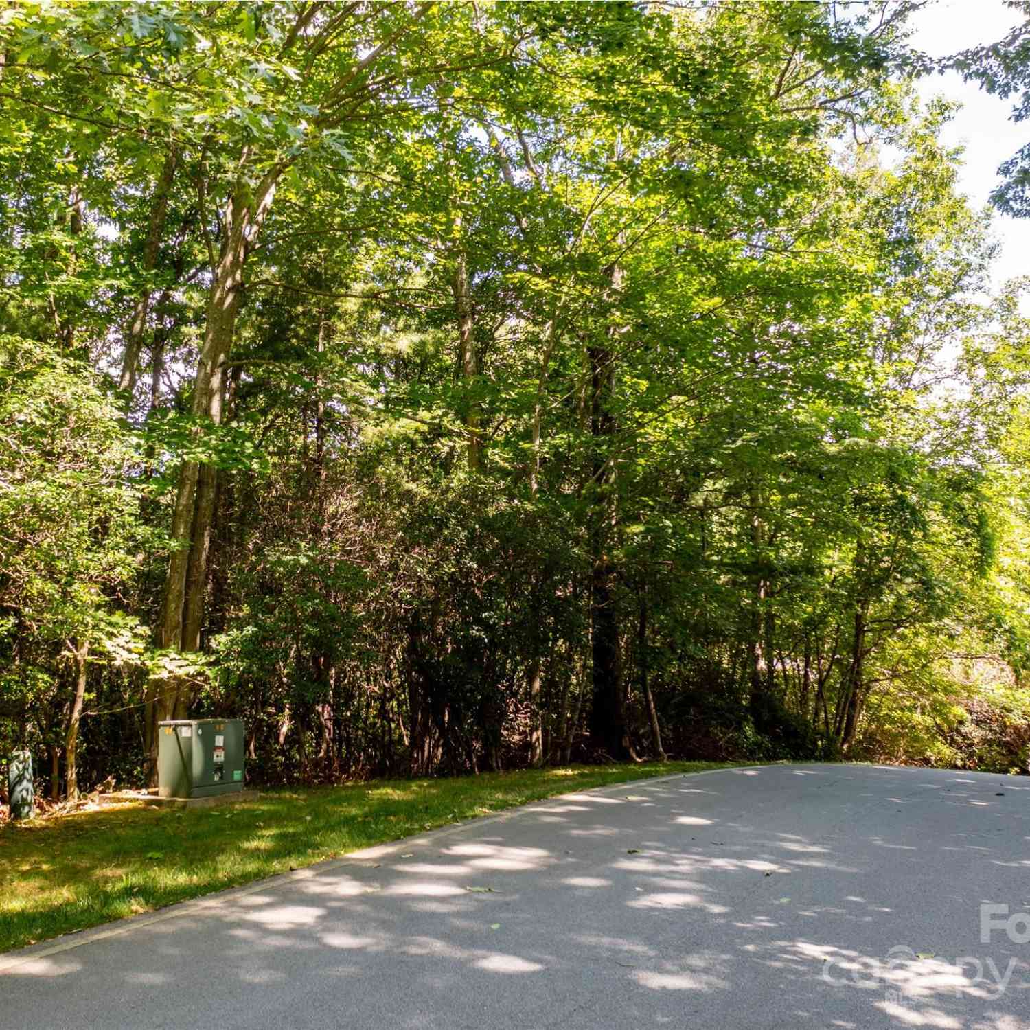 3 Cooper Cove South #53B, Hendersonville, North Carolina image 7