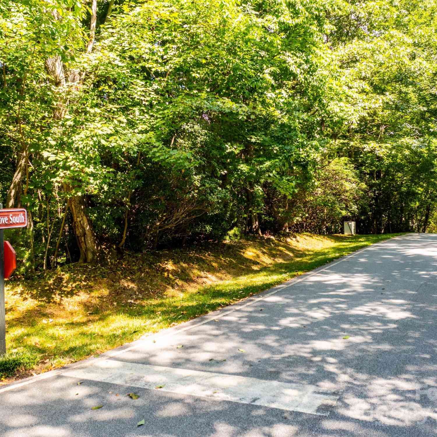 3 Cooper Cove South #53B, Hendersonville, North Carolina image 13