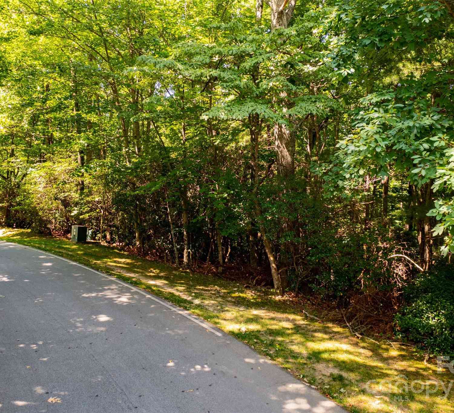 3 Cooper Cove South #53B, Hendersonville, North Carolina image 8