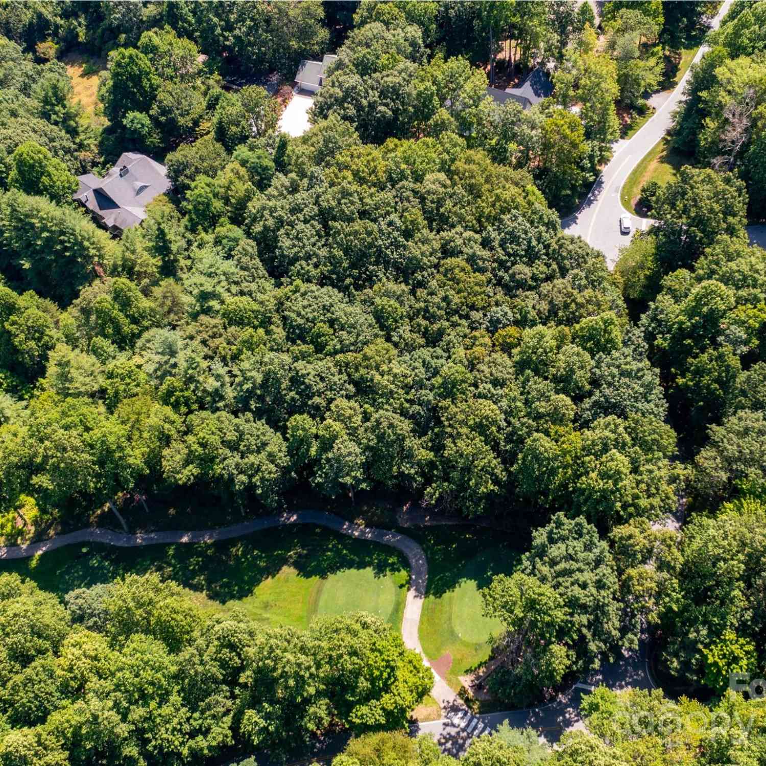 3 Cooper Cove South #53B, Hendersonville, North Carolina image 11