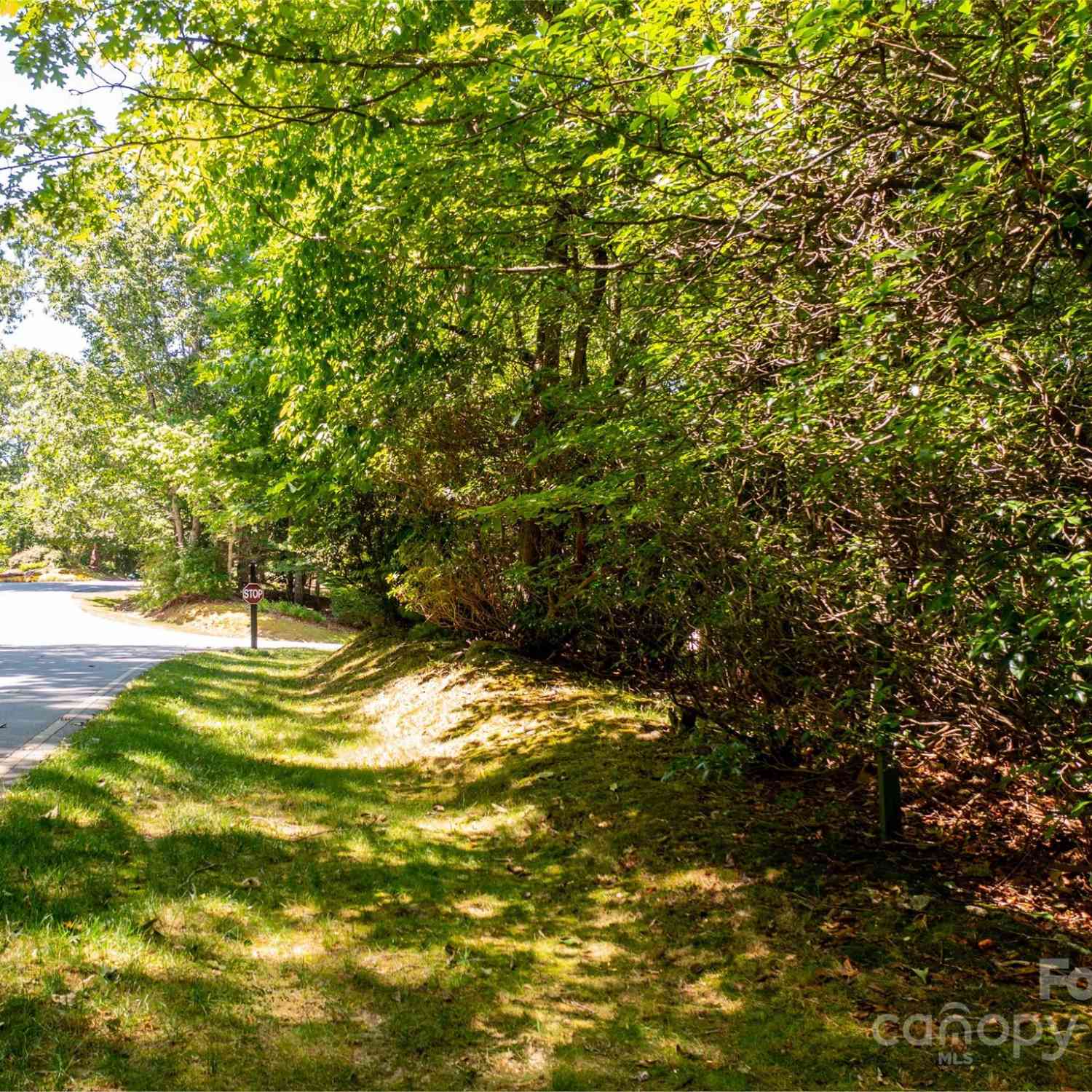 3 Cooper Cove South #53B, Hendersonville, North Carolina image 6