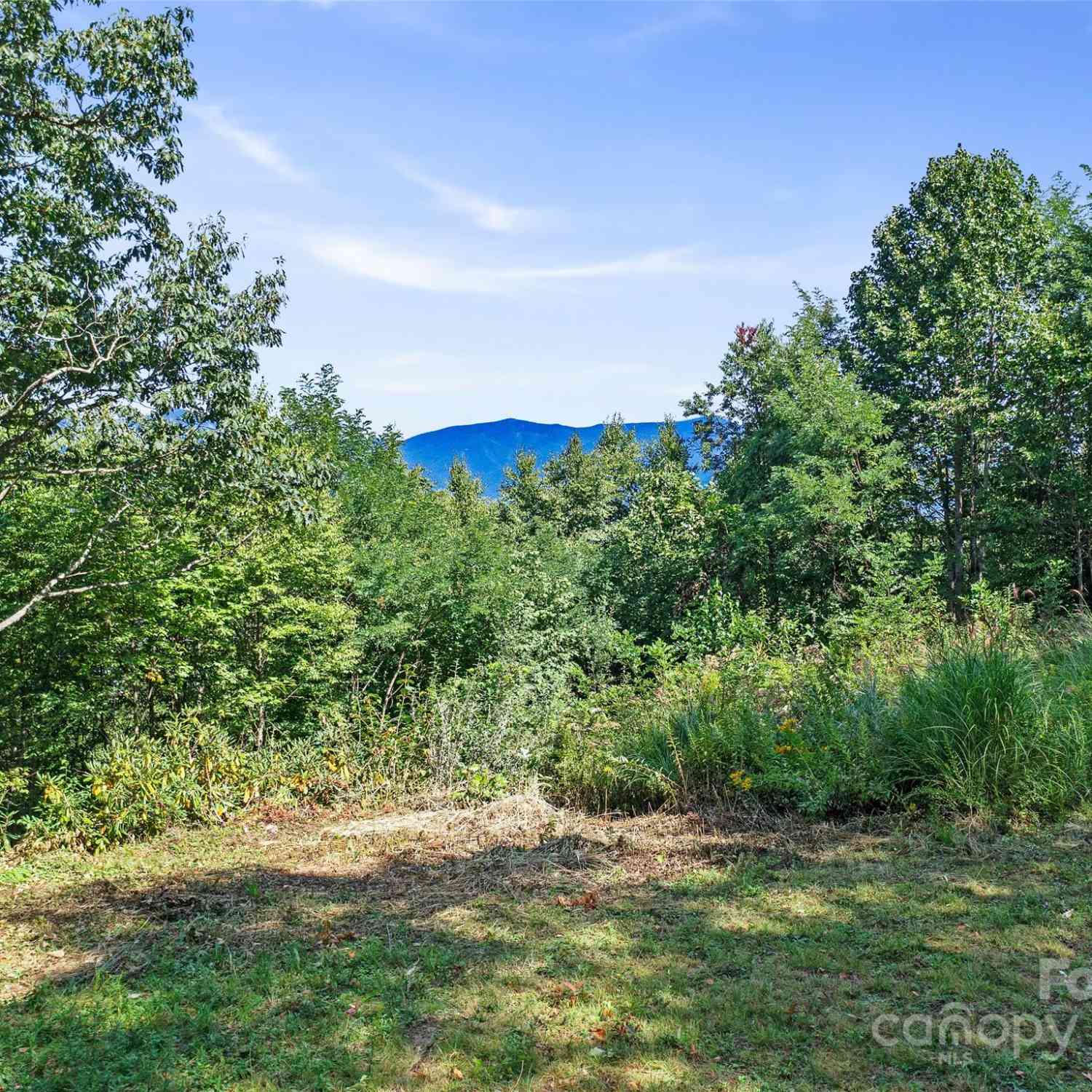 58 Mountain Azalea Drive, Swannanoa, North Carolina image 20