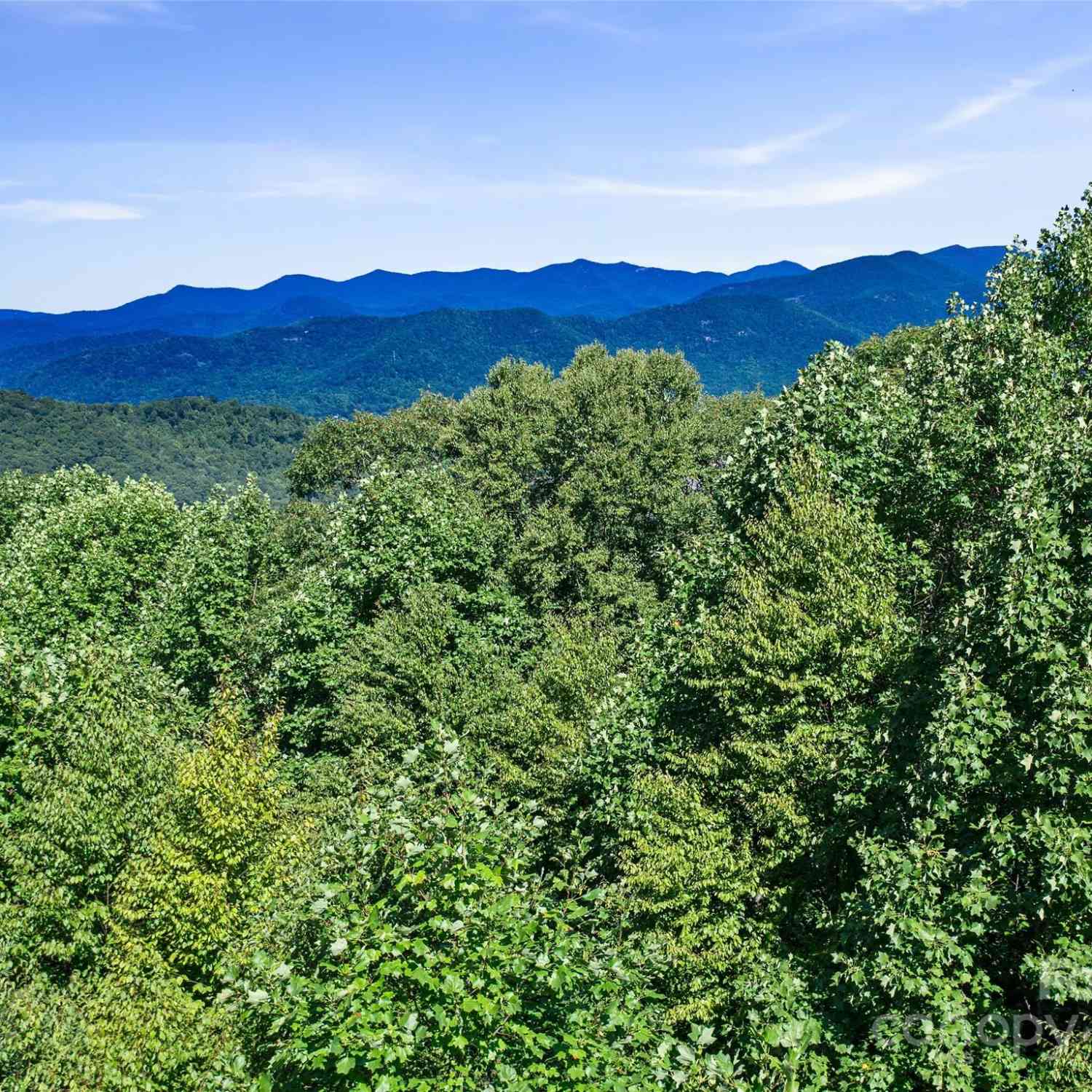 58 Mountain Azalea Drive, Swannanoa, North Carolina image 3