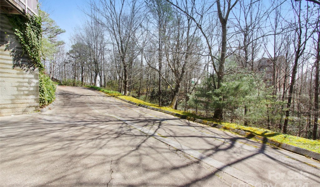 157 Toxaway Views Drive #802, Lake Toxaway, North Carolina image 37