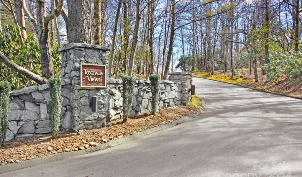 157 Toxaway Views Drive #802, Lake Toxaway, North Carolina image 39