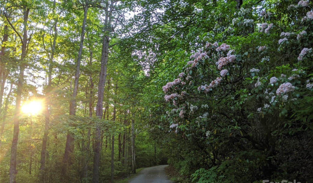 157 Toxaway Views Drive #802, Lake Toxaway, North Carolina image 38