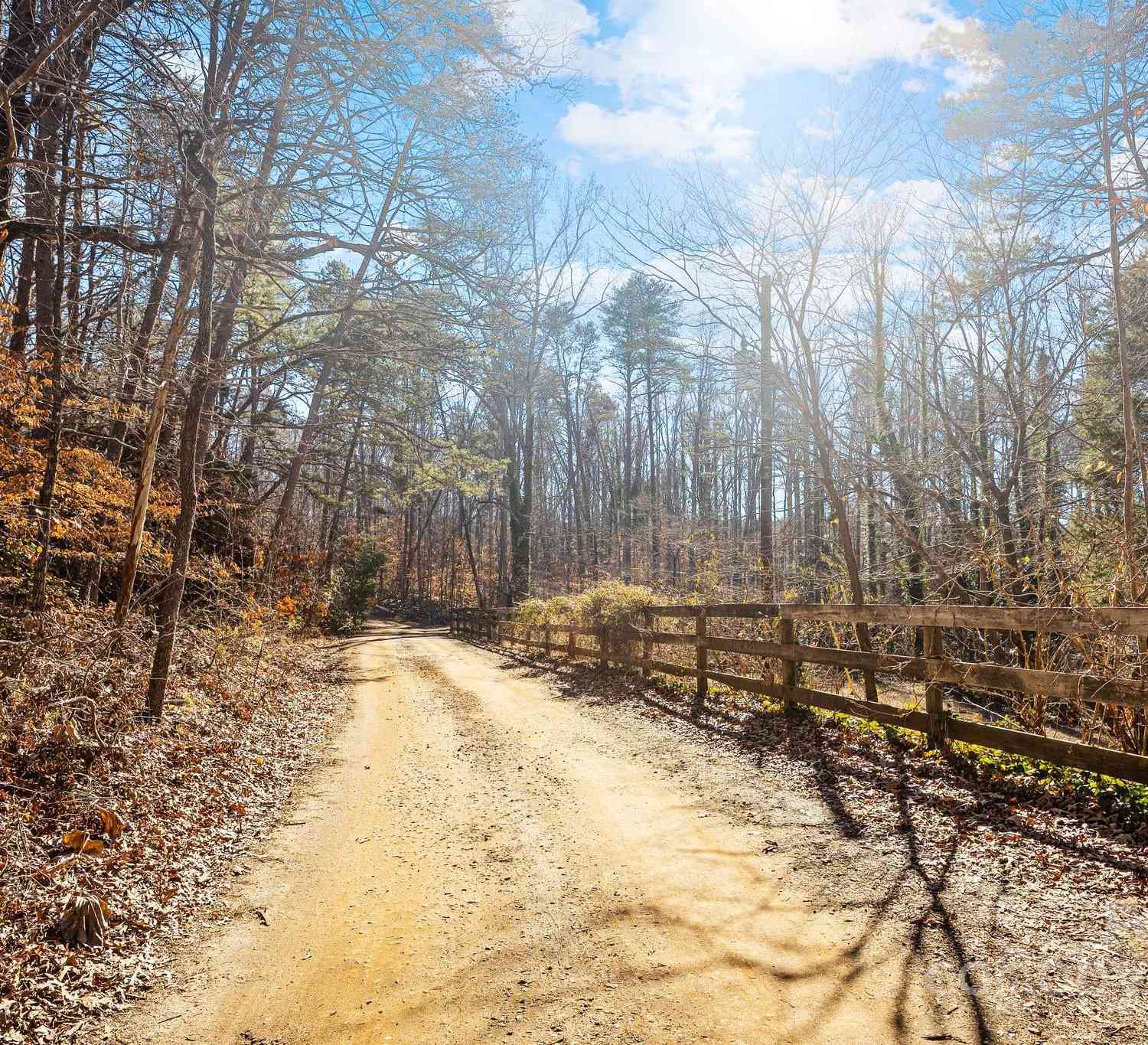 390 Hollow Wood Lane, Tryon, North Carolina image 43