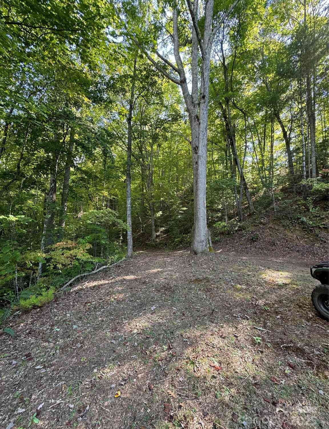 Lot E Twin Coves Road, Bryson City, North Carolina image 7