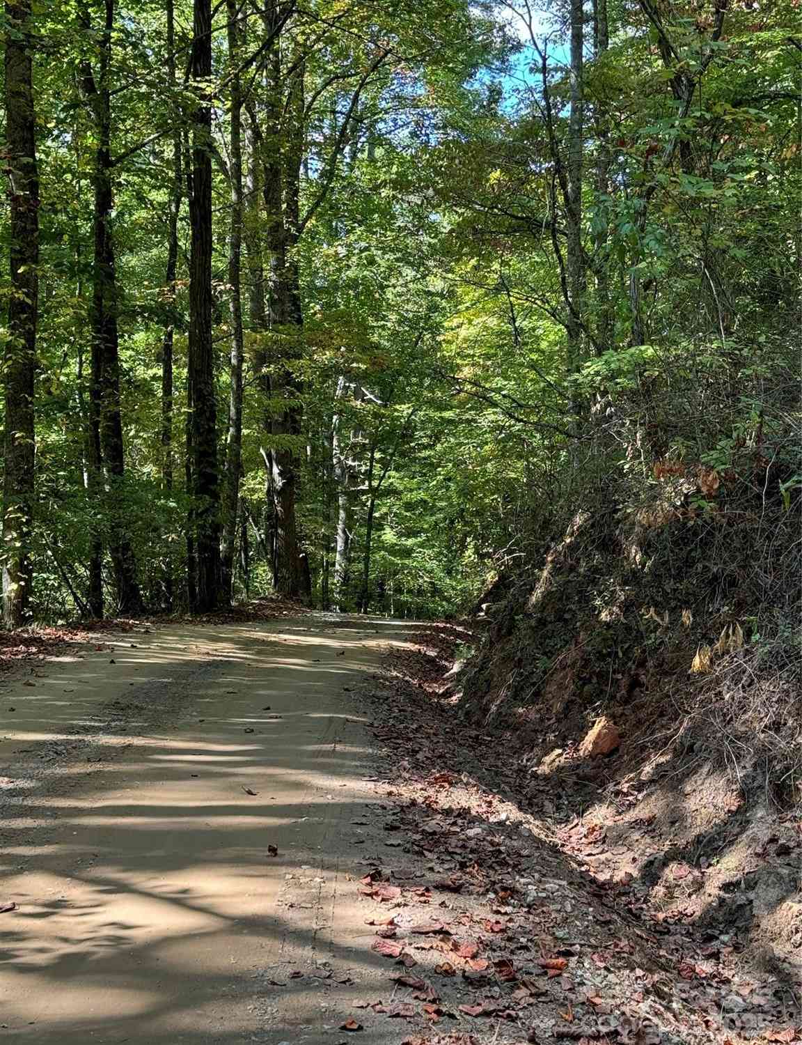 Lot E Twin Coves Road, Bryson City, North Carolina image 8