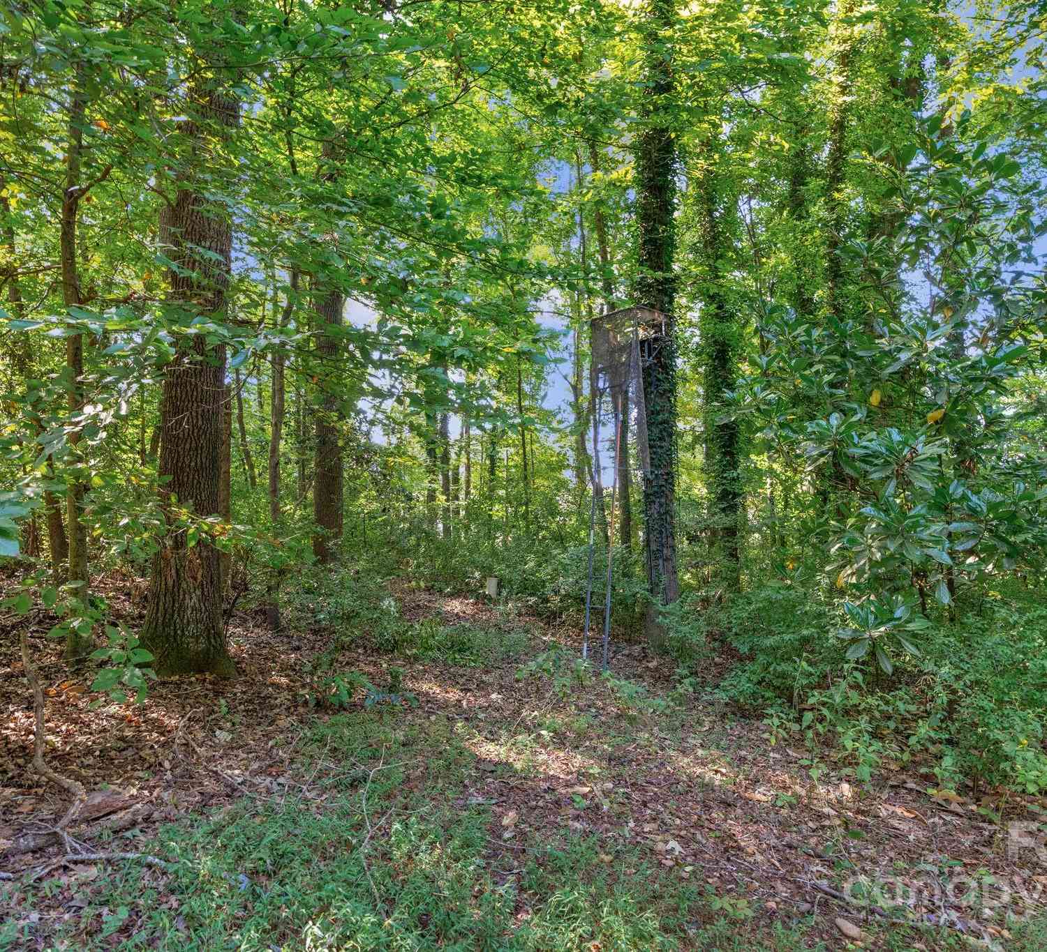 0000 Amos Smith Road, Charlotte, North Carolina image 34