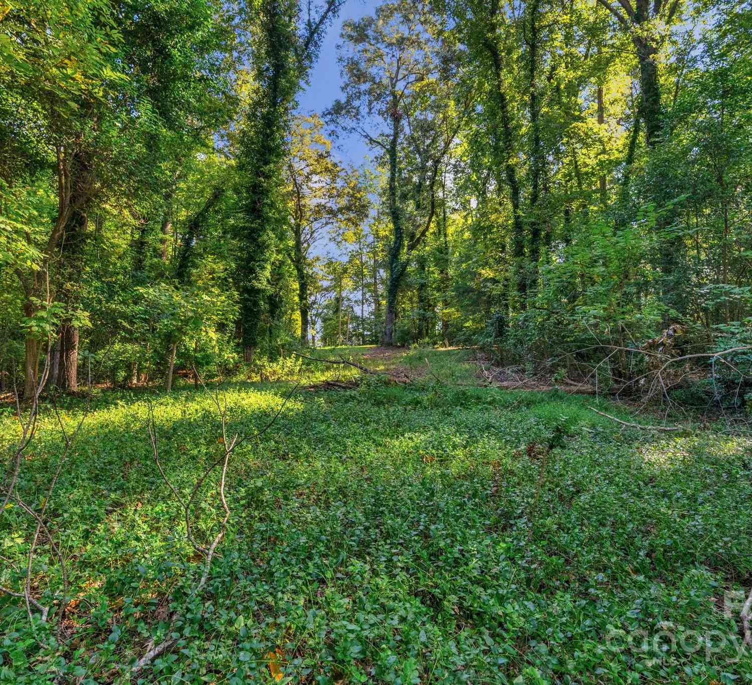 0000 Amos Smith Road, Charlotte, North Carolina image 10