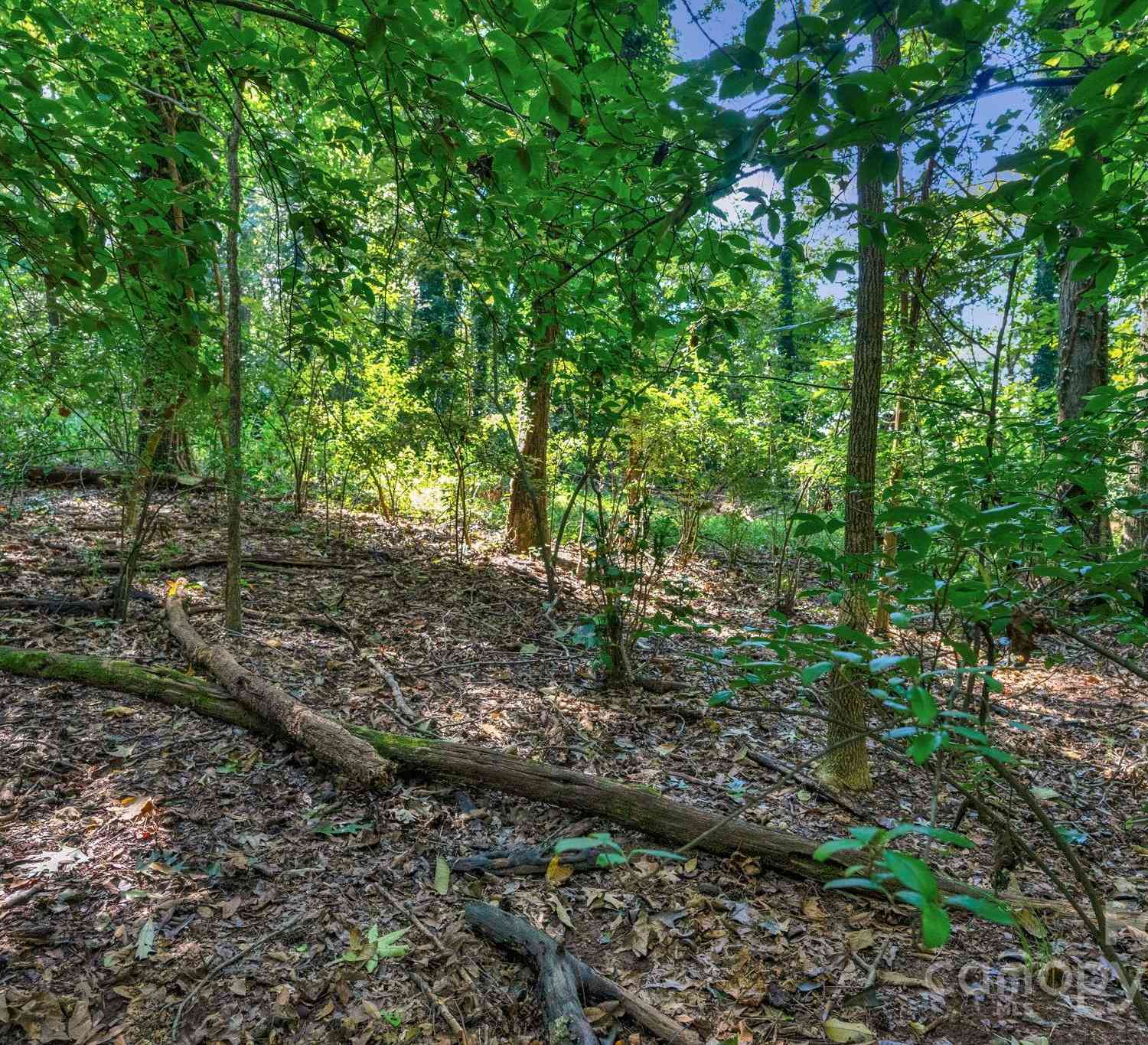 0000 Amos Smith Road, Charlotte, North Carolina image 35