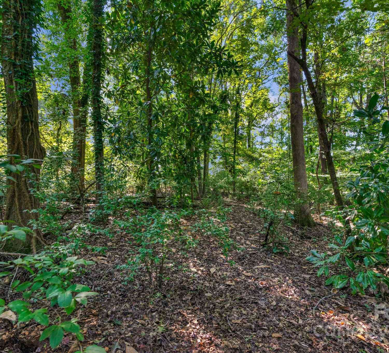 0000 Amos Smith Road, Charlotte, North Carolina image 39