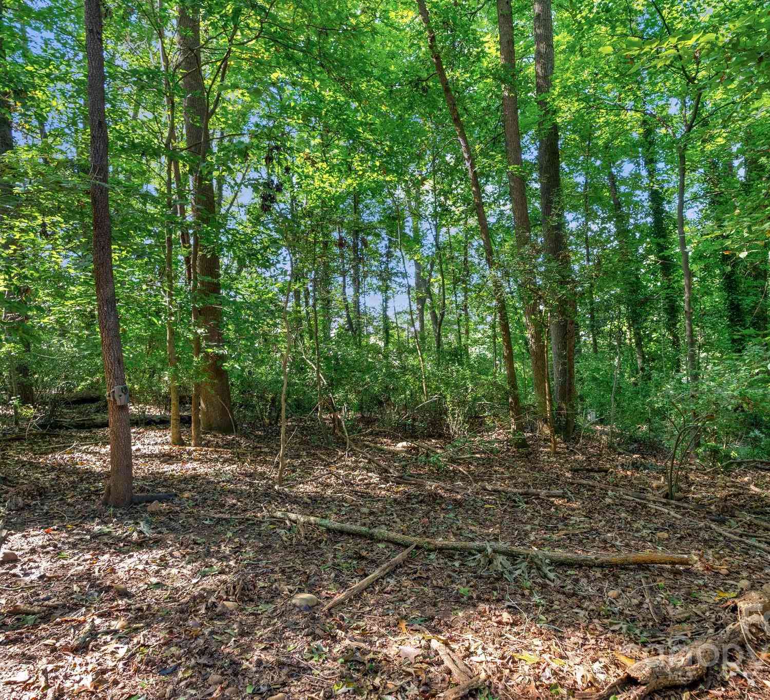 0000 Amos Smith Road, Charlotte, North Carolina image 33