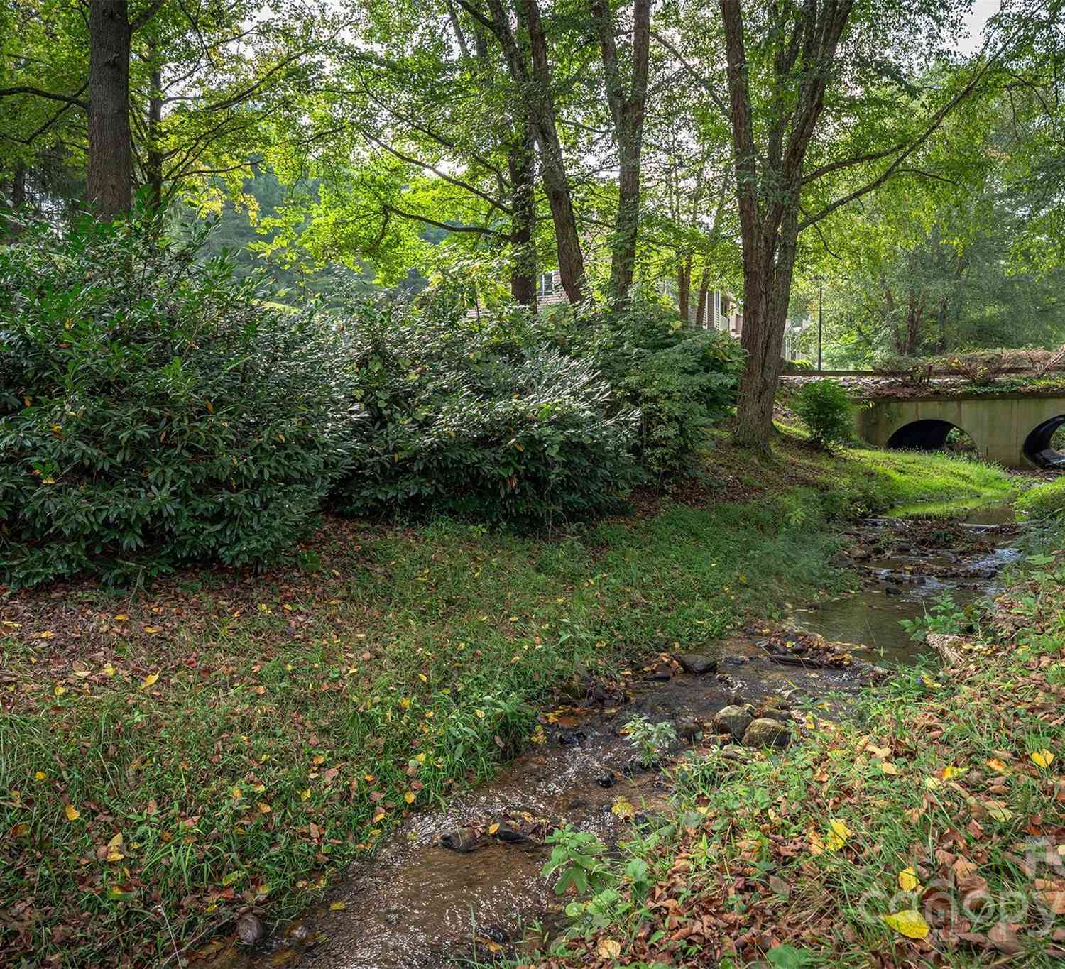 20 Willow Tree Run, Asheville, North Carolina image 39