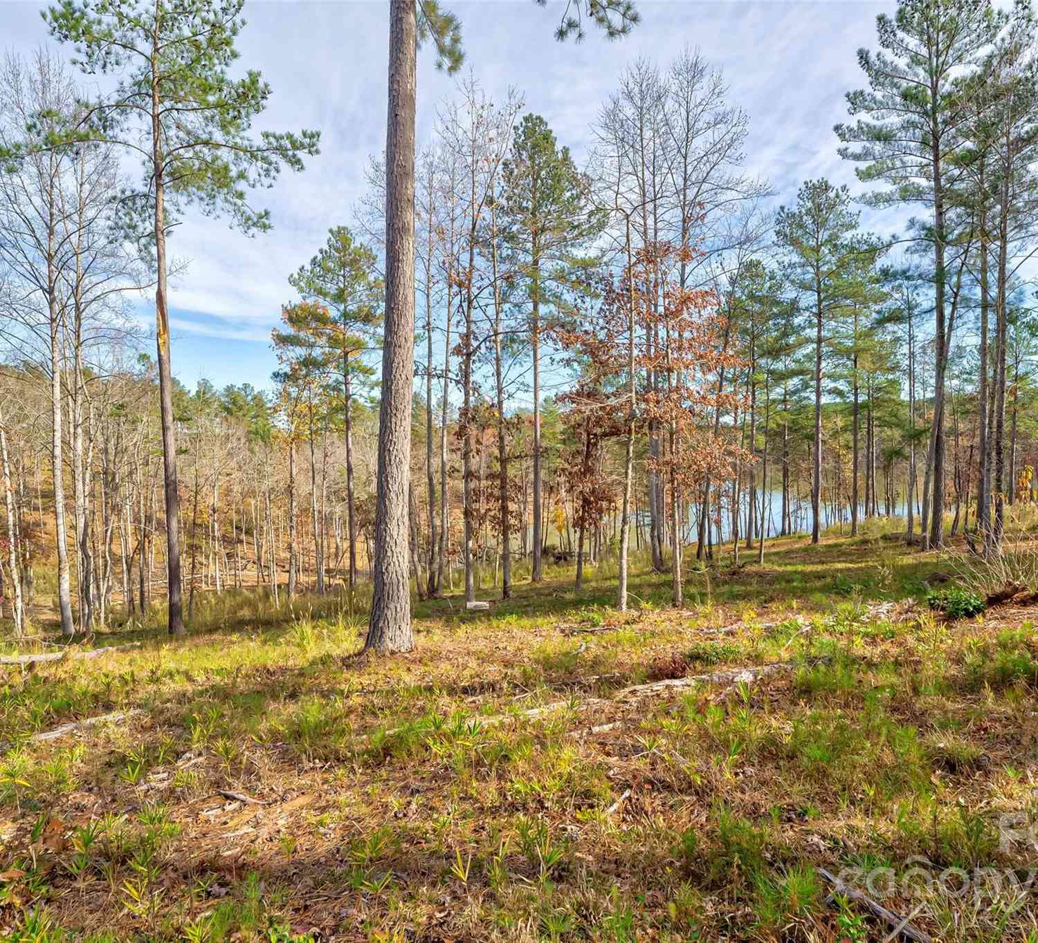 3084 Mount Harvard Court #79, Connelly Springs, North Carolina image 7