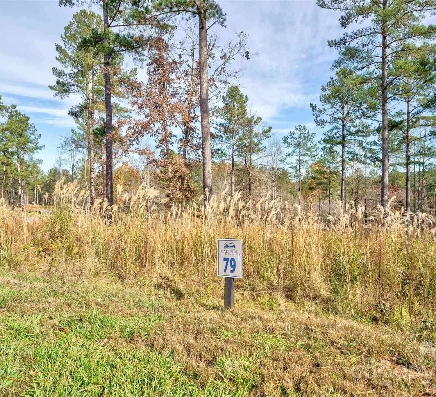 3084 Mount Harvard Court #79, Connelly Springs, North Carolina image 5