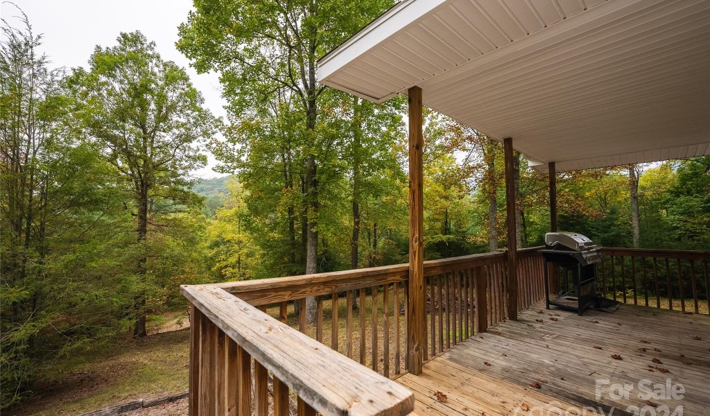 905 Lyons Road, Roaring Gap, North Carolina image 33