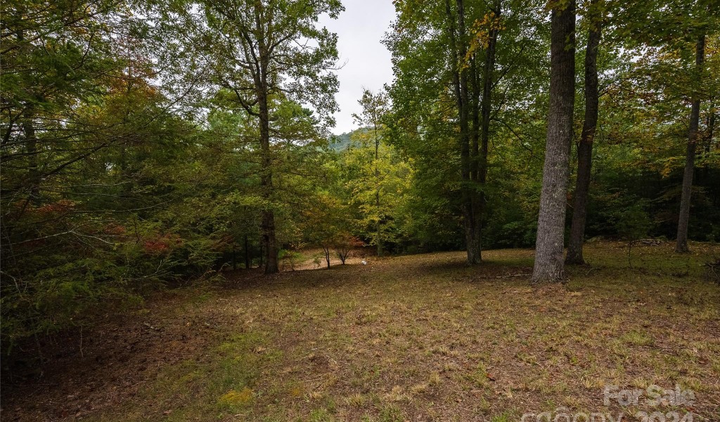 905 Lyons Road, Roaring Gap, North Carolina image 30