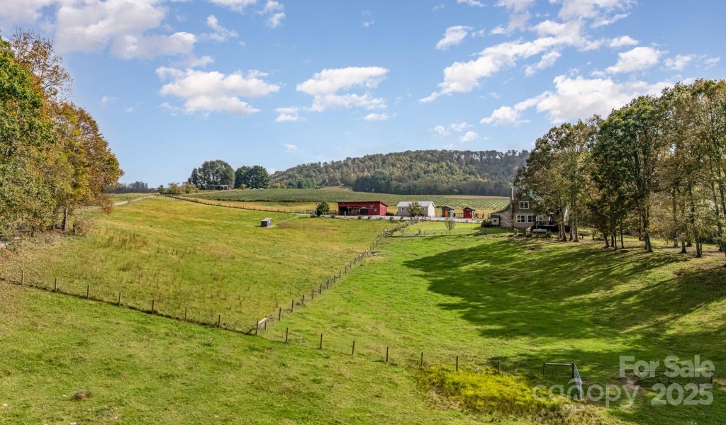 1133 Junior Dairy Road, Ennice, North Carolina image 42