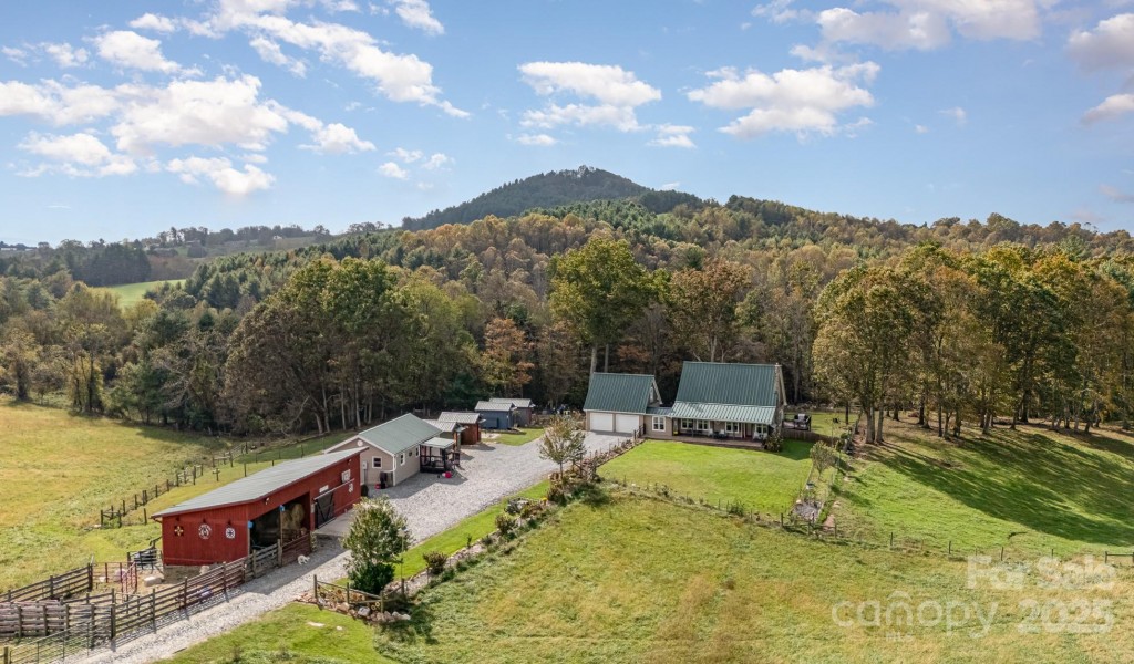 1133 Junior Dairy Road, Ennice, North Carolina image 1