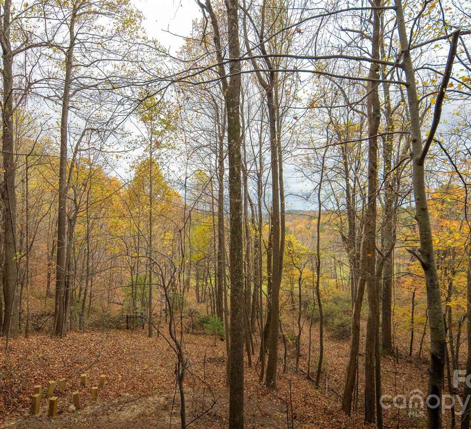 310 Greene Vista Lane, Deep Gap, North Carolina image 34