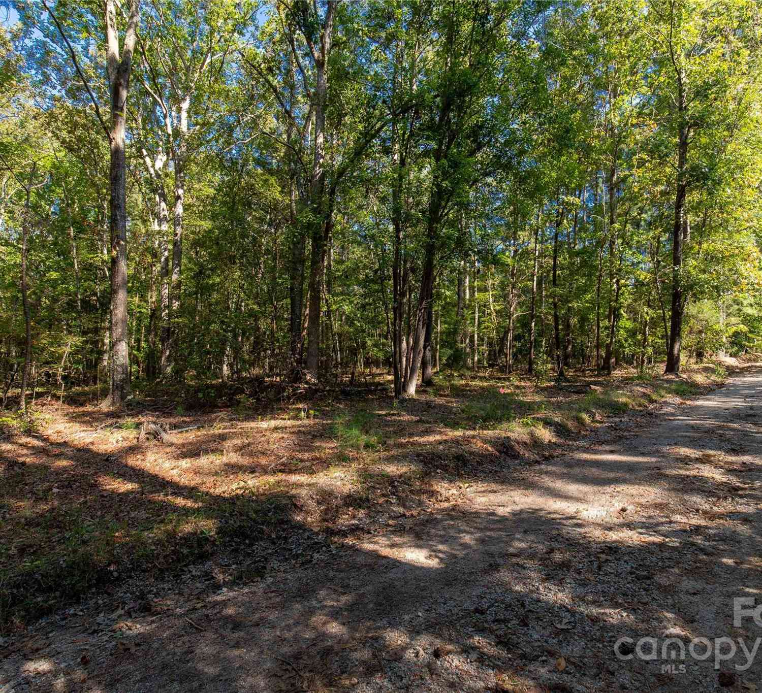 0000 Saddle Road, Lancaster, South Carolina image 21