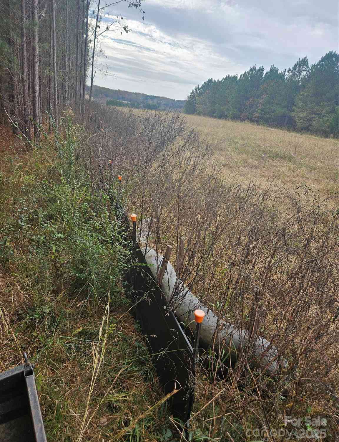 Ingold School Road, Albemarle, North Carolina image 18