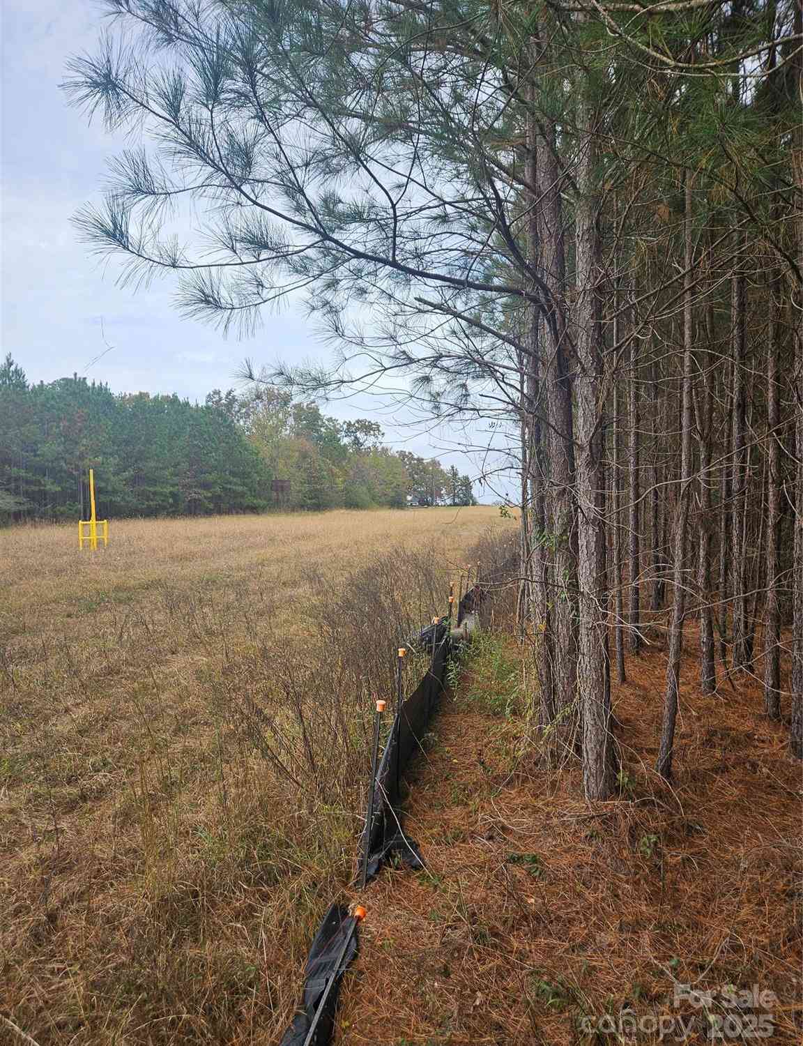 Ingold School Road, Albemarle, North Carolina image 19