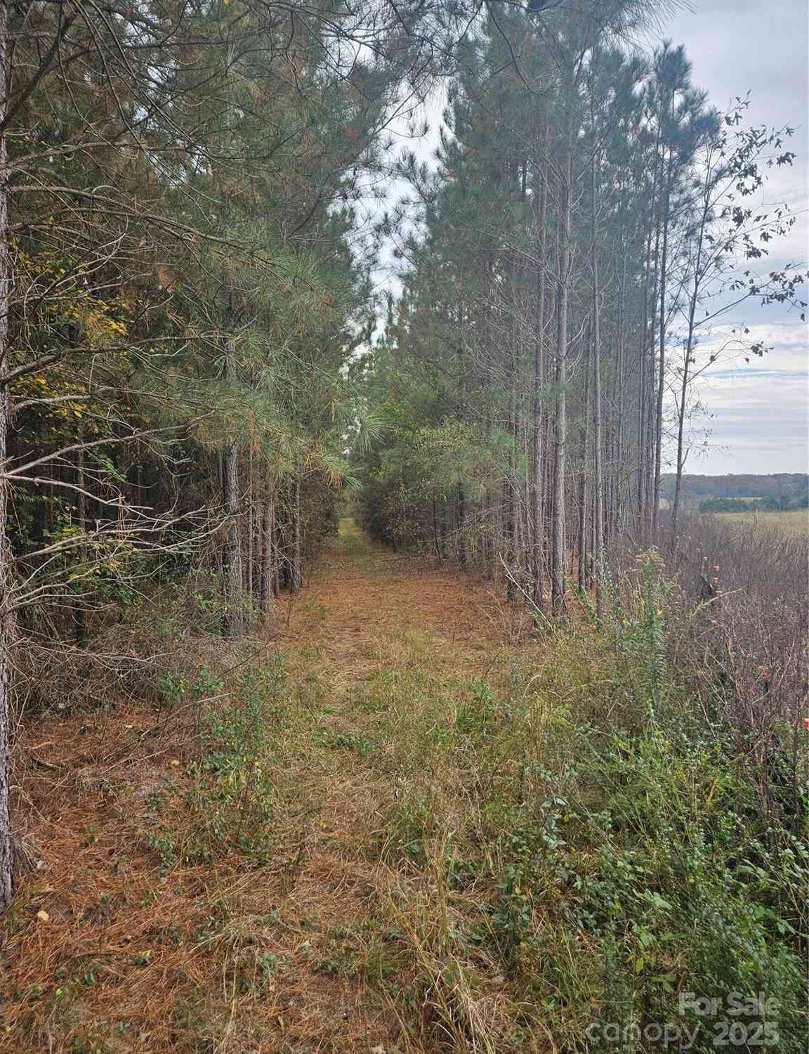 Ingold School Road, Albemarle, North Carolina image 4