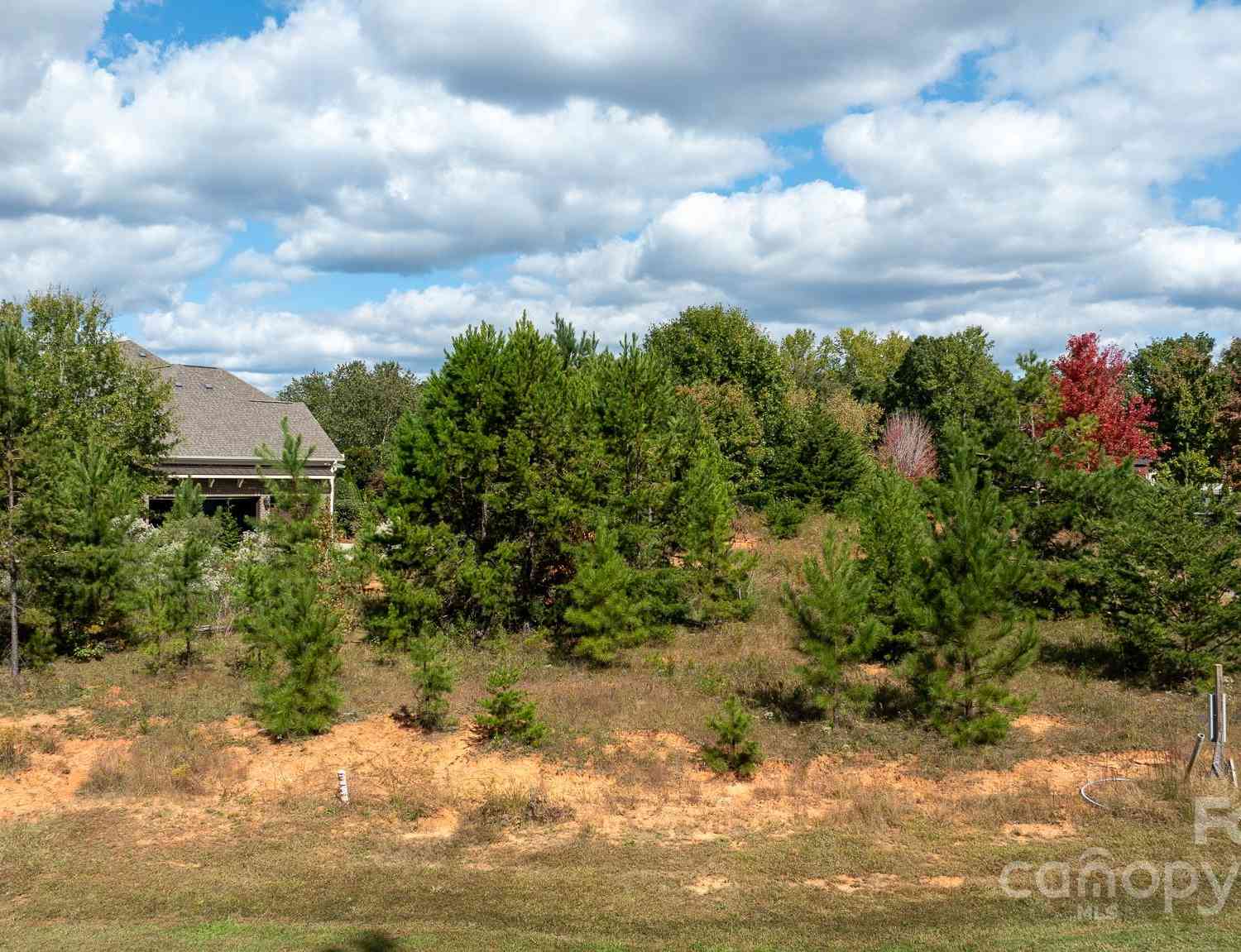 7415 Barrington Ridge Drive, Fort Mill, South Carolina image 8