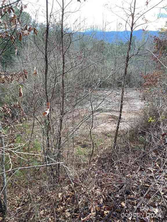 Lot 18 Ridgetop Circle, Whittier, North Carolina image 5