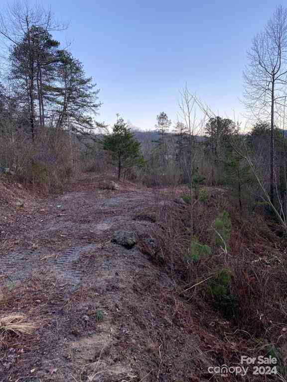 Lot 18 Ridgetop Circle, Whittier, North Carolina image 10