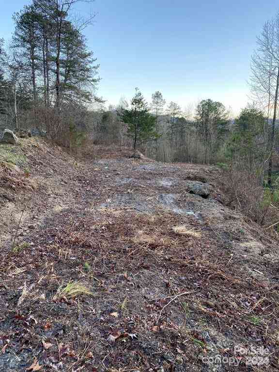 Lot 18 Ridgetop Circle, Whittier, North Carolina image 9