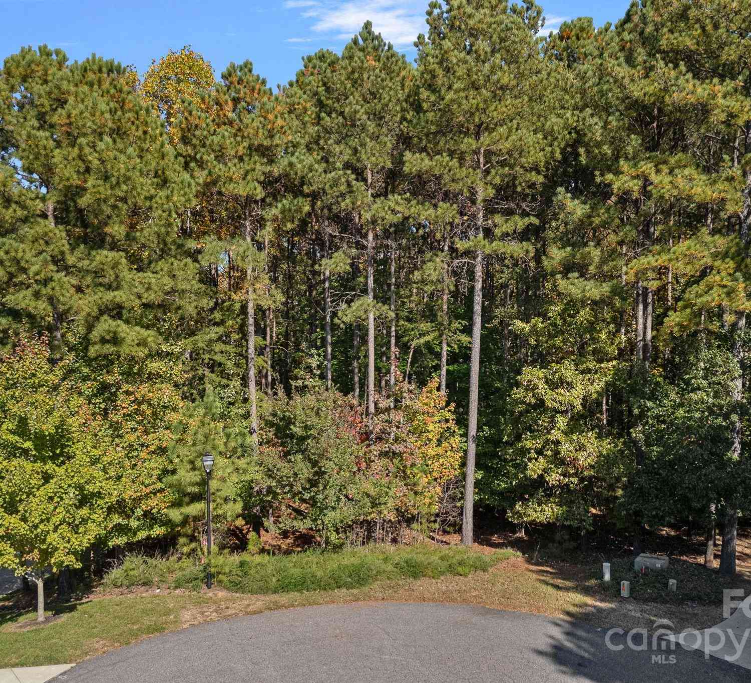 110 Bantam Place, Mooresville, North Carolina image 7