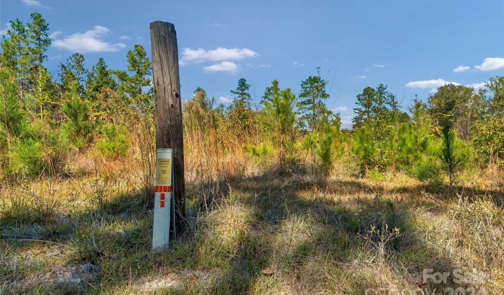 0000 Riley Road #5, Chesterfield, South Carolina image 19