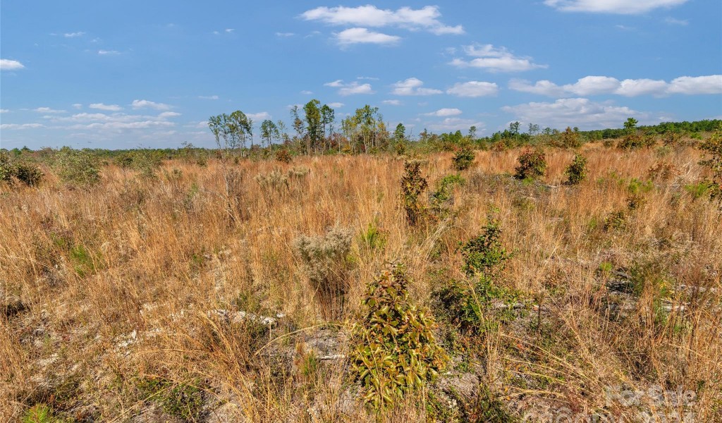 0000 Riley Road #5, Chesterfield, South Carolina image 15