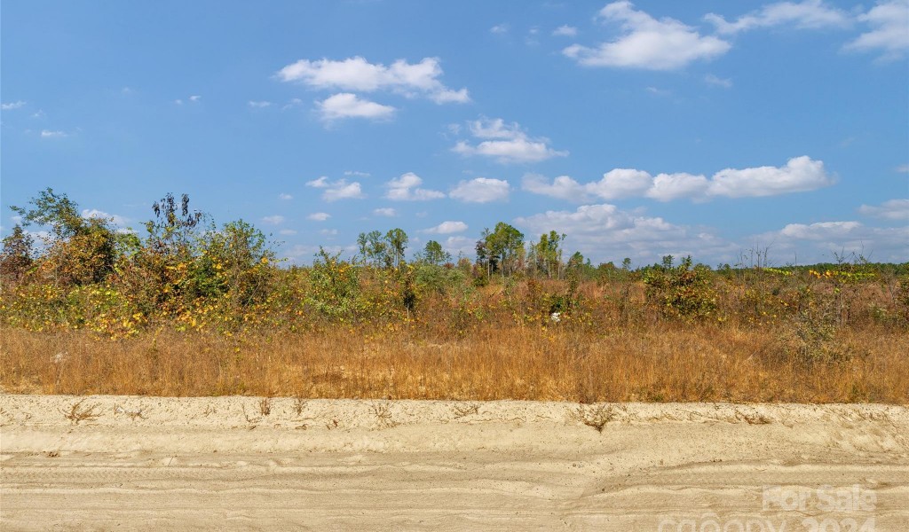 0000 Riley Road #5, Chesterfield, South Carolina image 7