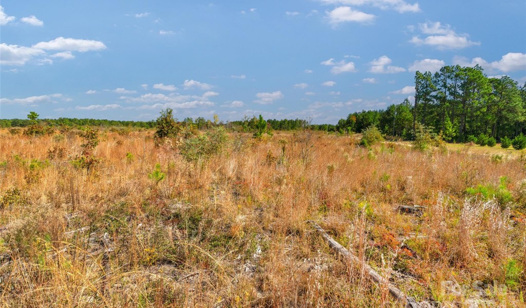 0000 Riley Road #5, Chesterfield, South Carolina image 16