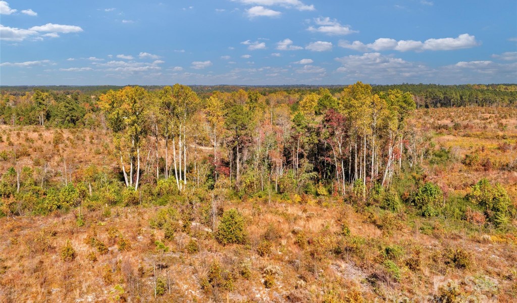 0000 Riley Road #5, Chesterfield, South Carolina image 3