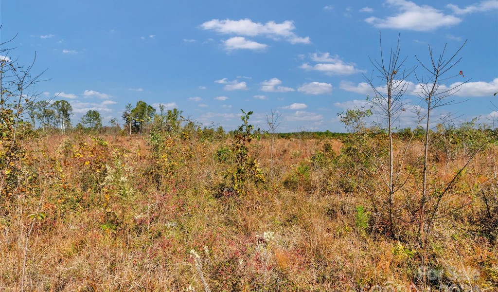 0000 Riley Road #5, Chesterfield, South Carolina image 10